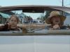 Pictures_of_Hollis_Woods__DVD_Screencaps_BJ_00236.jpg