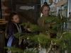 Pictures_of_Hollis_Woods__DVD_Screencaps_BJ_01118.jpg